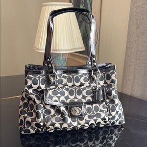 Coach Black and Platinum Gray Signature Bag
